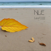 Leaf IIIIII