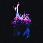 Nothing Blooms At Midnight