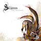 The Albatross