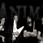 Anims