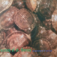 Susurrate