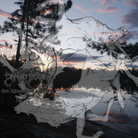 Det hjemsøkte hjertet