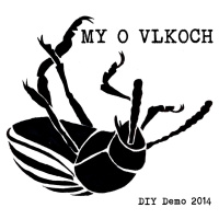 DIY Demo