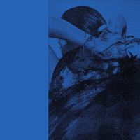 Fragments Of Paradise