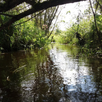 River Valley