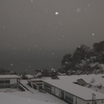 低体温症 (Hypothermia)