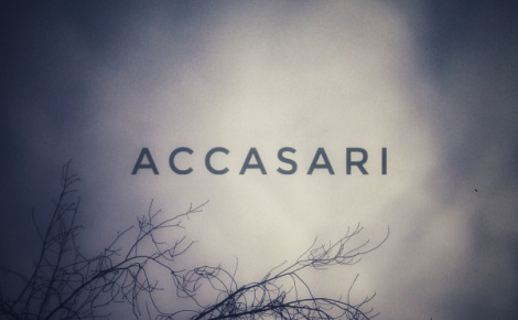 Accasari
