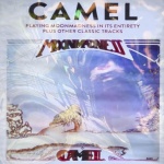 Camel At The Royal Albert Hall