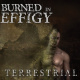 Terrestrial