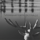 Vilhelmo Teatrų Festivalis