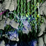 Warm Pulse EP