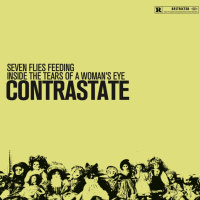 Seven Flies Feeding Inside The Tears Of A Woman's Eye