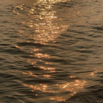 光のビジョン (Vision of Light)