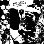 Baby Justice In A Hornet's Nest
