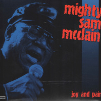 Joy And Pain