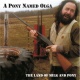 The Land of Milk And Pony 