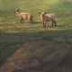The Lost Sheep