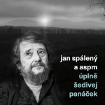 Úplně šedivej panáček