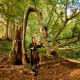 Fallen Trees