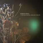 eikasia/phos_remixes/rework