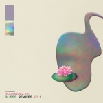 Blisss Remixes Pt. 1