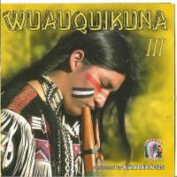 Wuauquikuna III