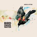 Bird Under Water