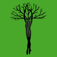 Piesne ticha / The Songs Of Silence