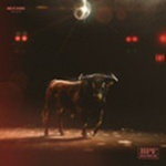 Flagrant Act of Bliss