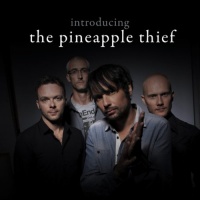 Introducing The Pineapple Thief